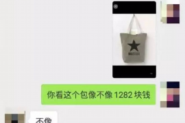 姜堰遇到恶意拖欠？专业追讨公司帮您解决烦恼